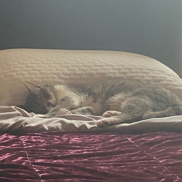 Meet your Posher, Meli! - Picture 13 of 13